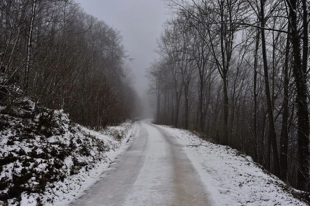 Weekly Horoscope: January 13– Janaury 19, 2025